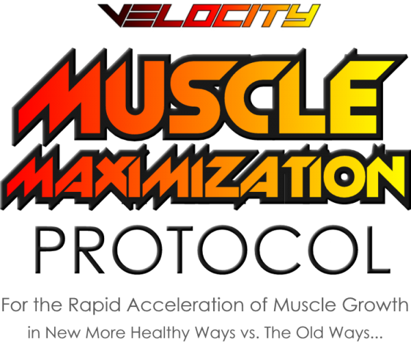 Velocity Muscle MAXIMIZATION Protocol - Digistore24