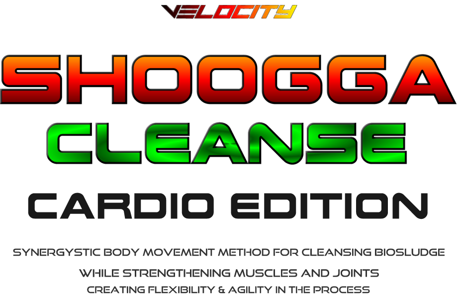 Velocity-SHOOGA-Cleanse-Cardio-Editoin