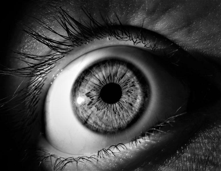 The Mysterious THIRD EYE You Didn’t Know You Had Interesting Research