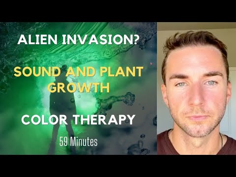 Alien invasions? Color therapy? and the sound of music and plants by Dorothy Retallack
