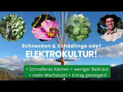 Elektrokultur Die Atmospharische Antenne in English and German – Yannick Van Doorne